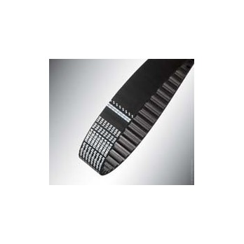 Courroie OMEGA 2000 S8M 25