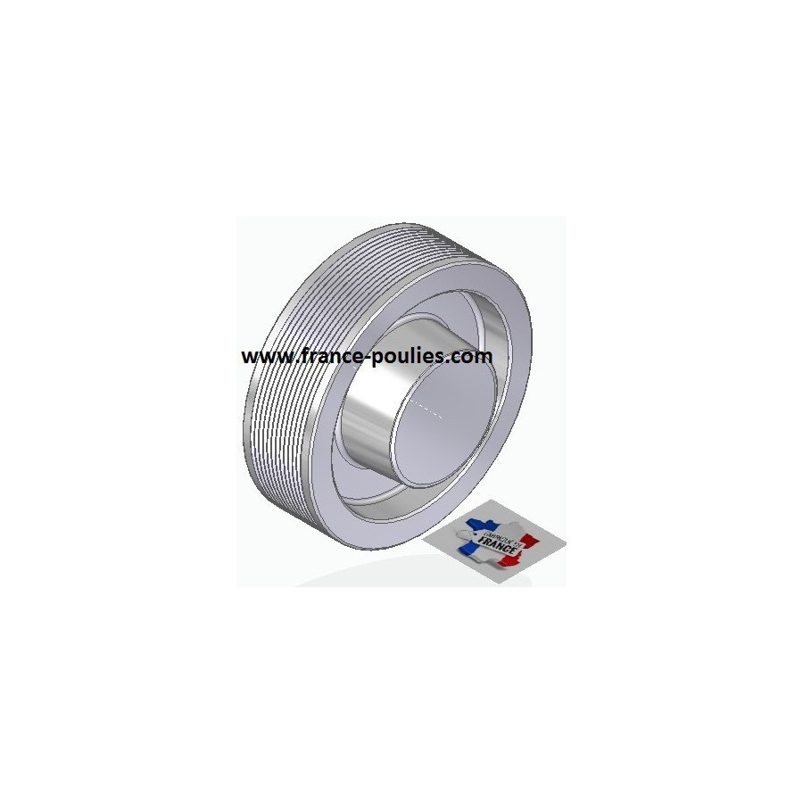 POULIE POLY-V ALU Øext 125 PJ 12 DENTS
