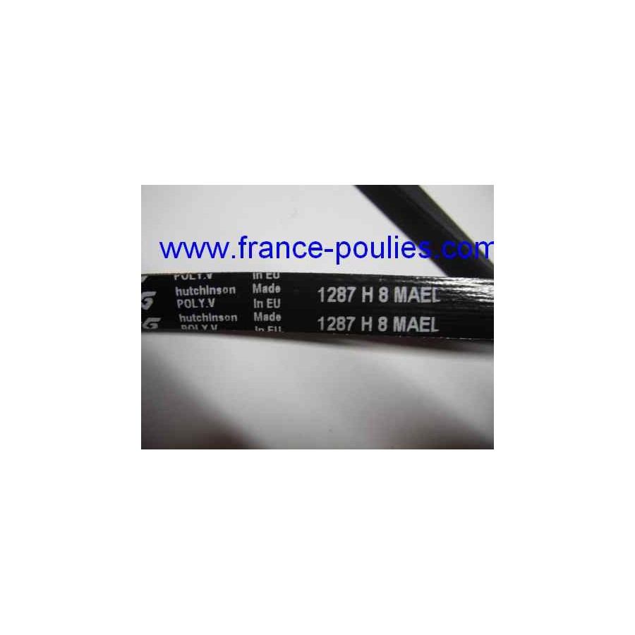 courroie poly v 1287 PH 8 dents  MA 