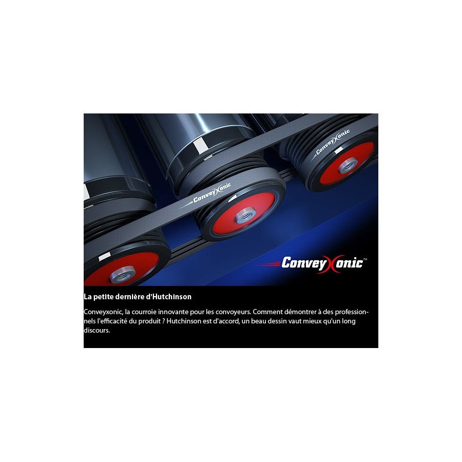 lot de 10 courroies 346 PJ 3 Convexonic