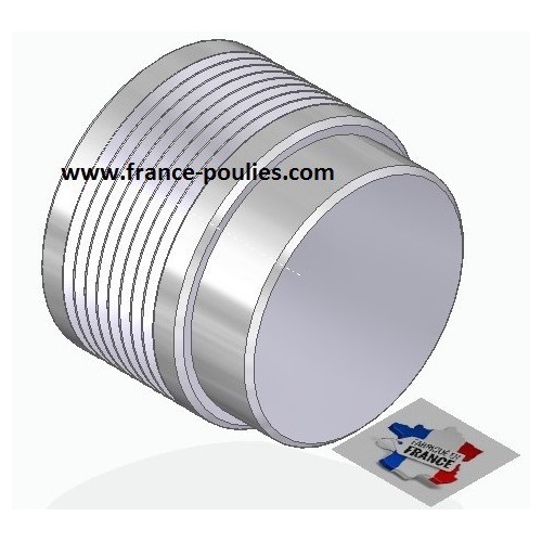 POULIE POLY-V ALU Øext45 PJ 8 DENTS