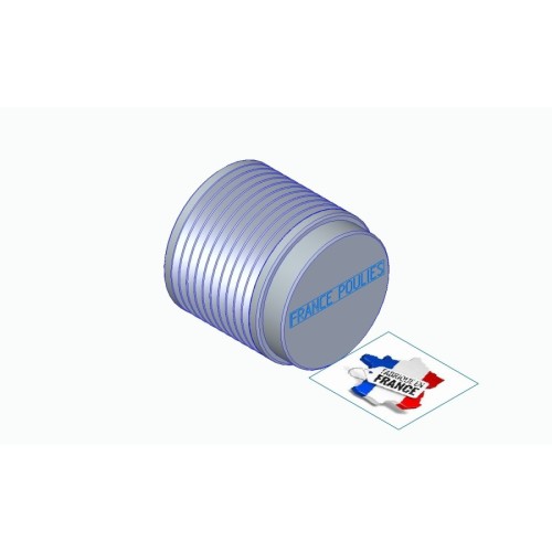 POULIE POLY-V ALU Øext 71 PL 10 DENTS