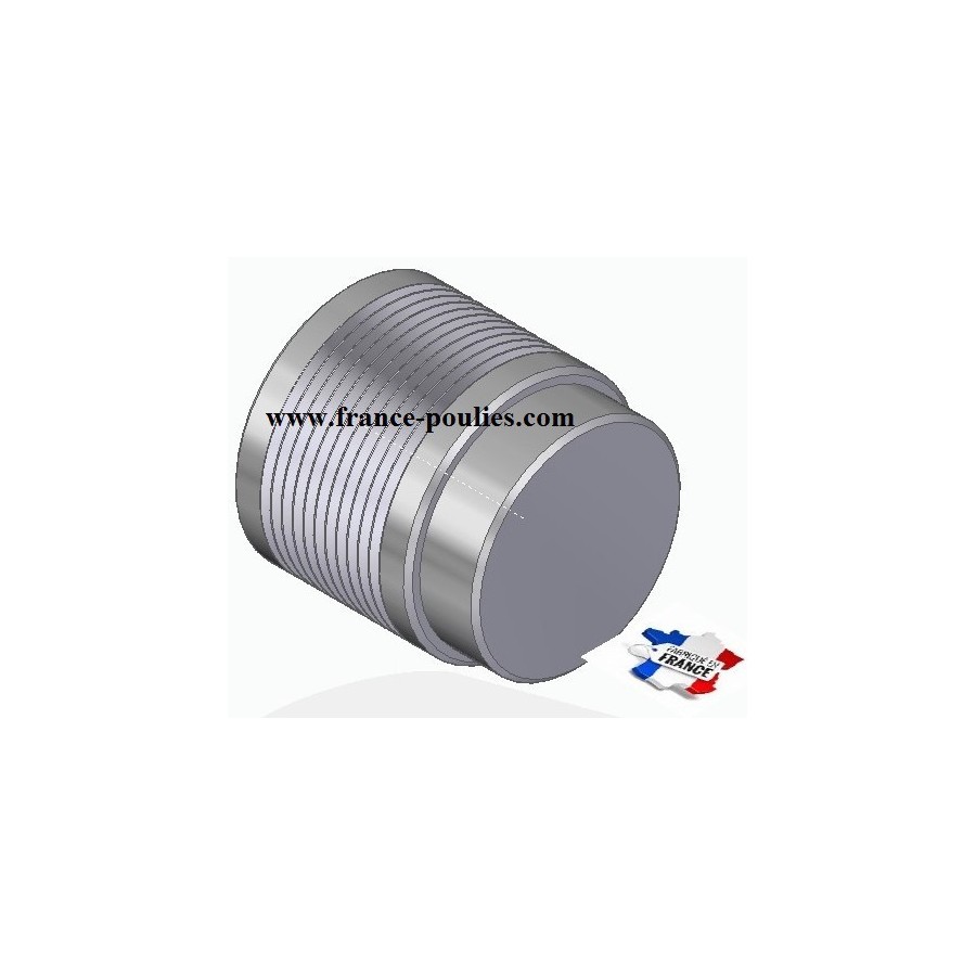 POULIE POLY-V ALU Øext50 PJ 11 DENTS