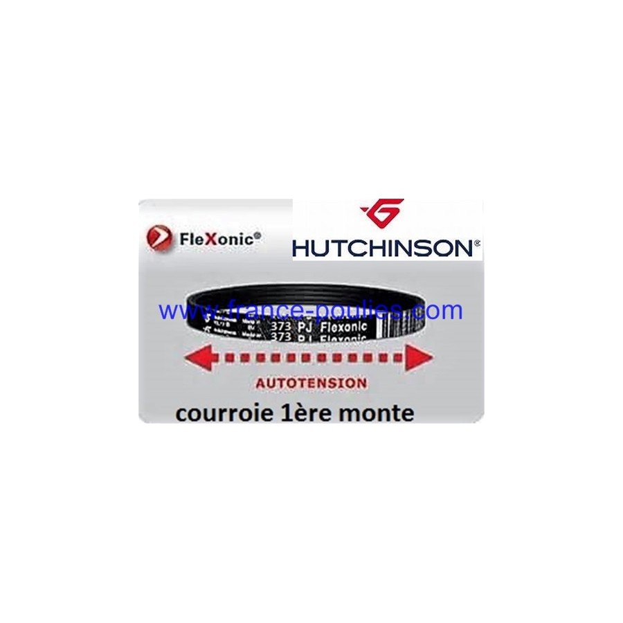 courroie poly v 373 pj 5 dents flexonic Hutchinson
