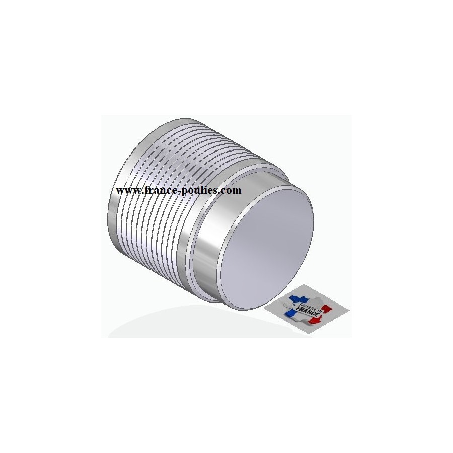 POULIE POLY-V ALU Øext50 PJ 12 DENTS