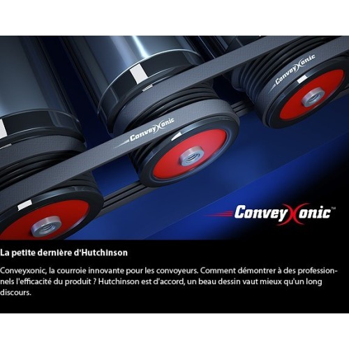 lot de 10 courroies 286 PJ 4 Convexonic