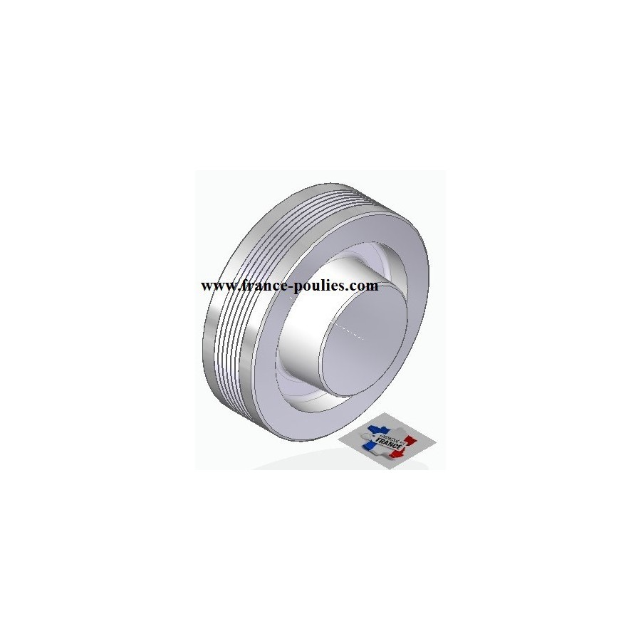 POULIE POLY-V ALU Øext 100 PJ 6 DENTS