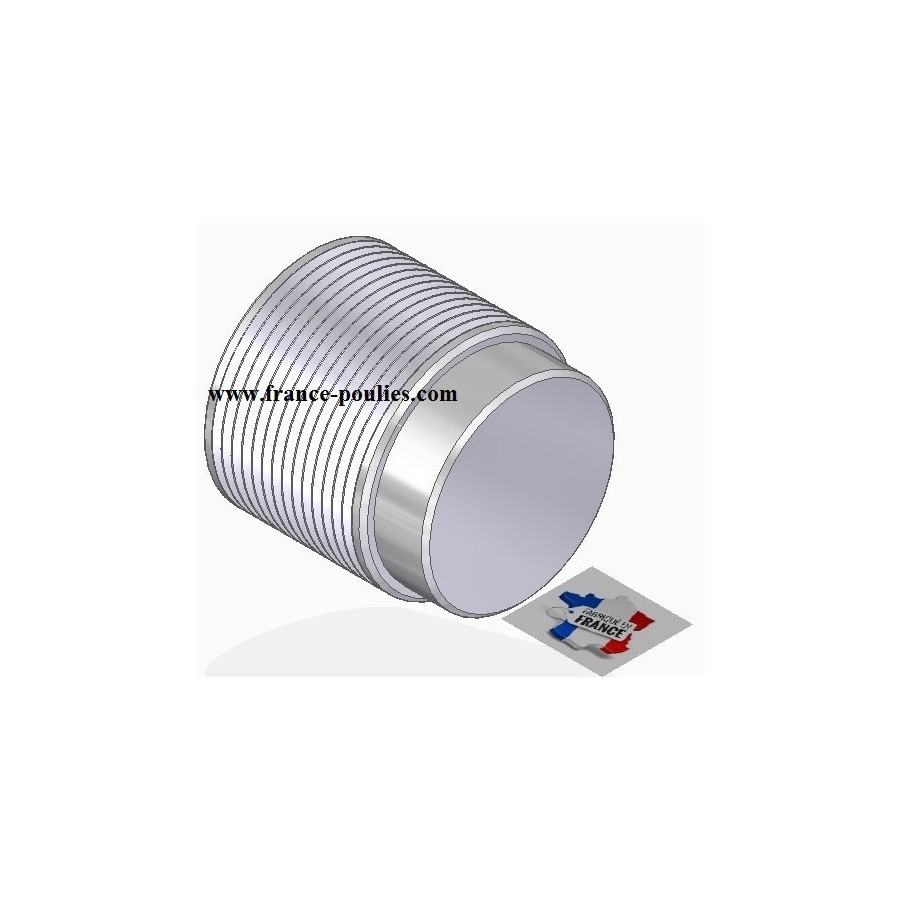 POULIE POLY-V ALU Øext63 PJ 14 DENTS