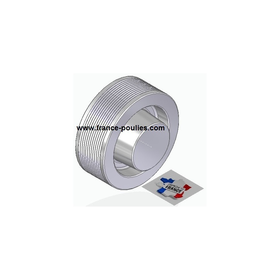 POULIE POLY-V ALU Øext 100 PJ 12 DENTS