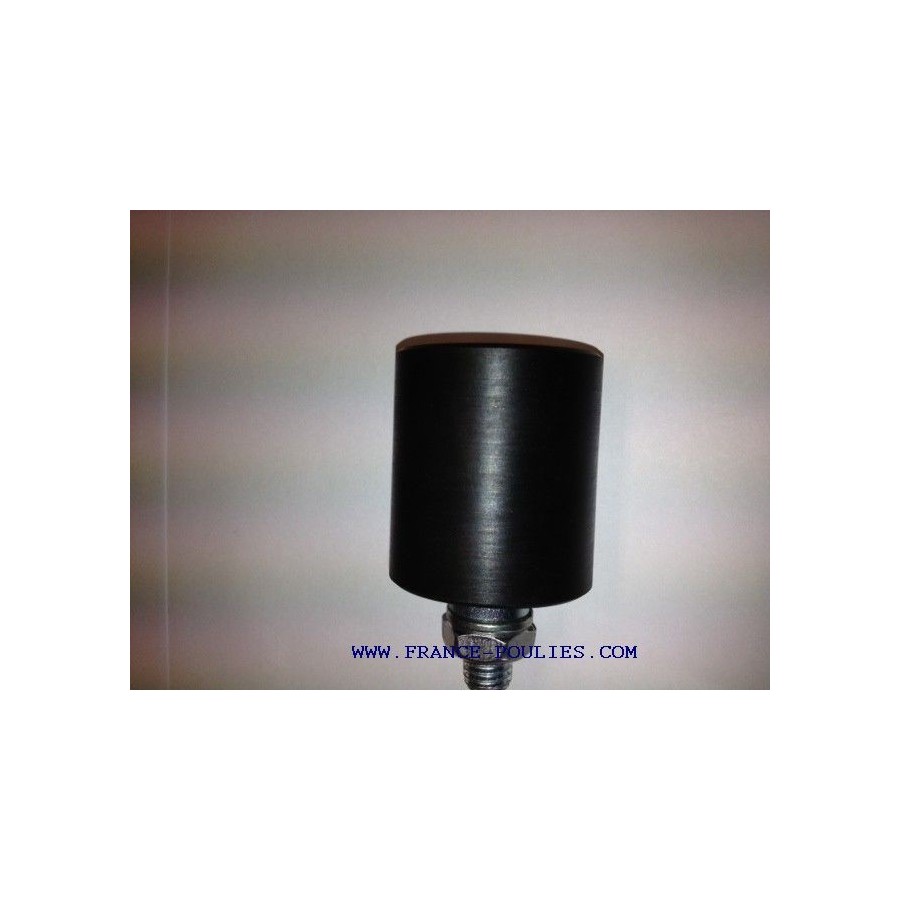 1 bras tendeur elastique en fonte avec poulie tendeur