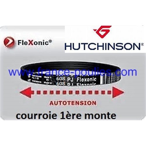courroie poly v 608 pj- j 8 dents - mael flexonic Hutchinson