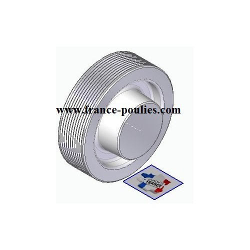 POULIE POLY-V ALU Øext 100 PJ 10 DENTS