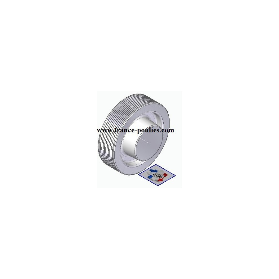 POULIE POLY-V ALU Øext 100 PJ 10 DENTS