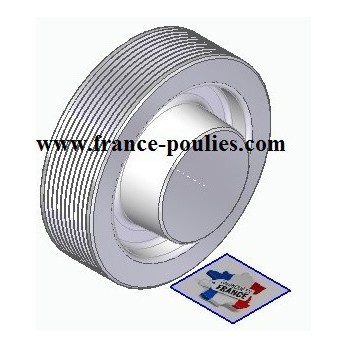 POULIE POLY-V ALU Øext 100 PJ 10 DENTS