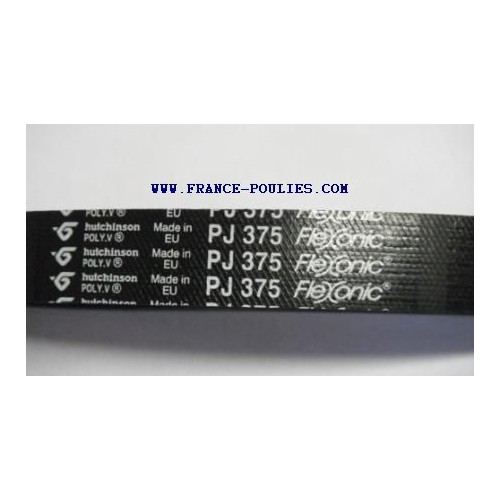 courroie poly v 375 pj 8 dentsflexonic Hutchinson 