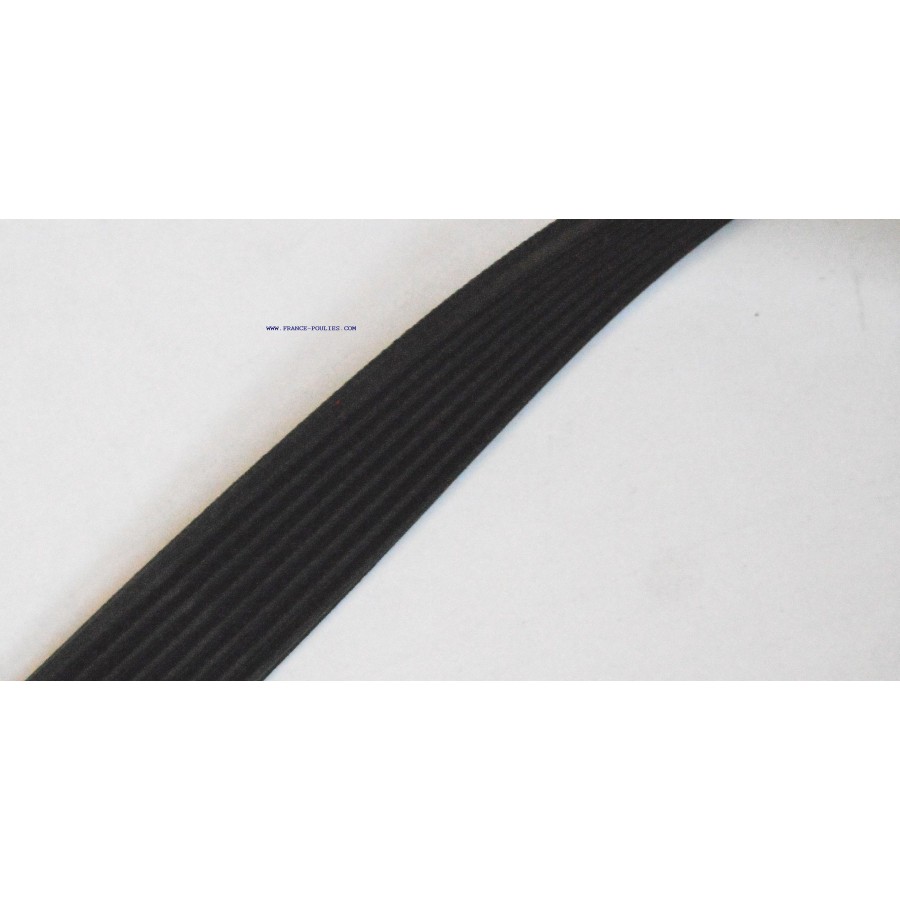 courroie poly v 823 pj 5 dents flexonic Hutchinson