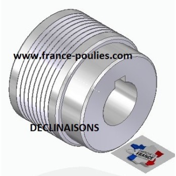 POULIE POLY-V ALU Øext50 PJ 8 DENTS