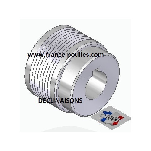 POULIE POLY-V ALU Øext45 PJ 10 DENTS