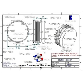 POULIE POLY-V ALU Øext 80 PJ 8 DENTS