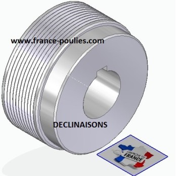 POULIE POLY-V ALU Øex71 PJ 10 DENTS