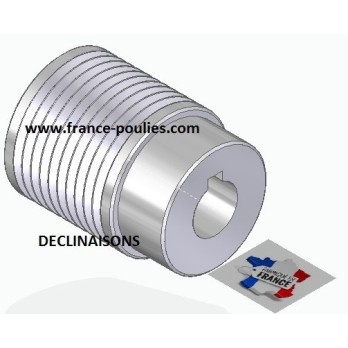 POULIE POLY-V ALU Øext 31.5 PJ 10 DENTS