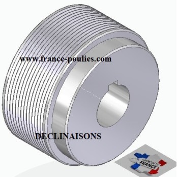 POULIE POLY-V ALU Øext 80 PJ 12 DENTS