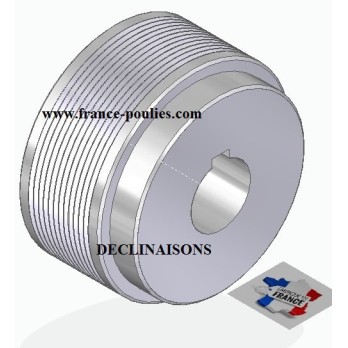 POULIE POLY-V ALU Øex71 PJ 12 DENTS