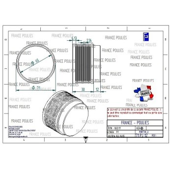 POULIE POLY-V ALU Øex71 PJ 12 DENTS
