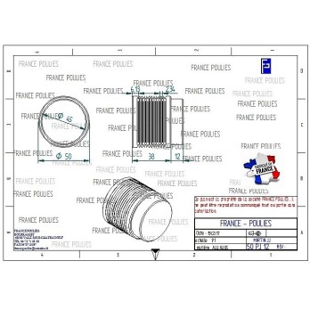 POULIE POLY-V ALU Øext50 PJ 12 DENTS