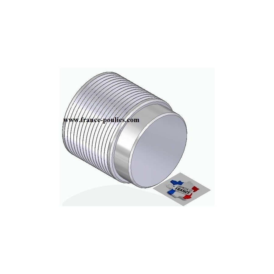 POULIE POLY-V ALU Øext50 PJ 14 DENTS