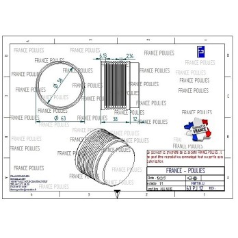 POULIE POLY-V ALU Øext63 PJ 12 DENTS