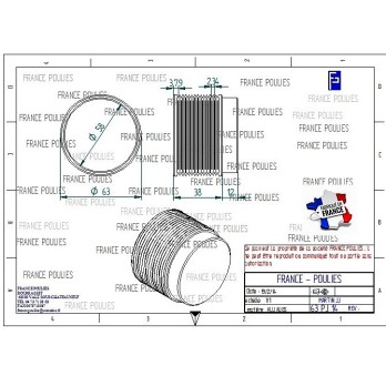 POULIE POLY-V ALU Øext63 PJ 14 DENTS