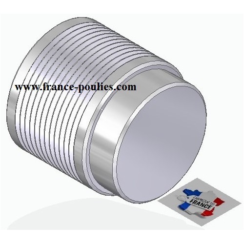 POULIE POLY-V ALU Øext56 PJ 12 DENTS