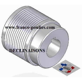 POULIE POLY-V ALU Øext56 PJ 12 DENTS