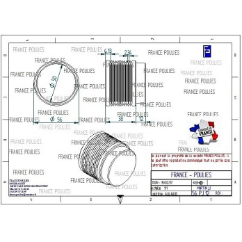 POULIE POLY-V ALU Øext56 PJ 12 DENTS