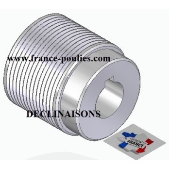 POULIE POLY-V ALU Øext56 PJ 14 DENTS