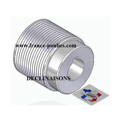 POULIE POLY-V ALU Øext45 PJ 12 DENTS