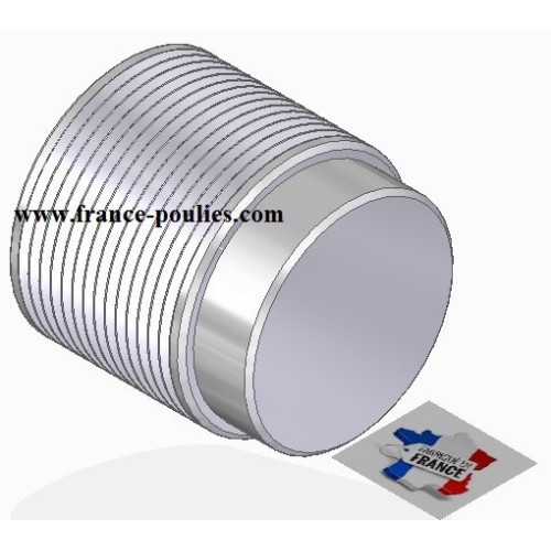 POULIE POLY-V ALU Øext45 PJ 14 DENTS