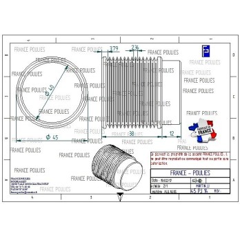 POULIE POLY-V ALU Øext45 PJ 14 DENTS