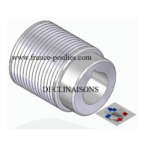 POULIE POLY-V ALU Øext40 PJ 14 DENTS