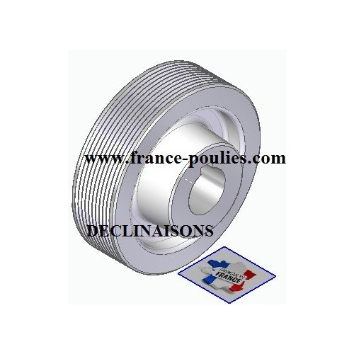 POULIE POLY-V ALU Øext 100 PJ 10 DENTS