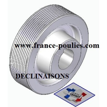 POULIE POLY-V ALU Øext 100 PJ 10 DENTS