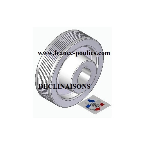 POULIE POLY-V ALU Øext 100 PJ 8 DENTS