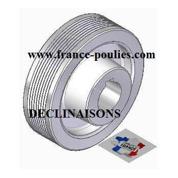 POULIE POLY-V ALU Øext 100 PJ 8 DENTS
