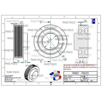 POULIE POLY-V ALU Øext 100 PJ 8 DENTS