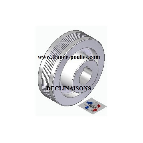 POULIE POLY-V ALU Øext 100 PJ 6 DENTS