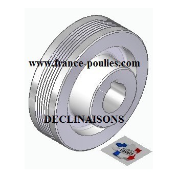 POULIE POLY-V ALU Øext 100 PJ 6 DENTS