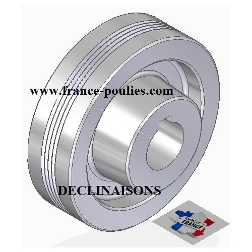 POULIE POLY-V ALU Øext 100 PJ 4 DENTS