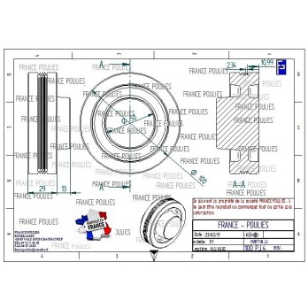 POULIE POLY-V ALU Øext 100 PJ 4 DENTS