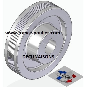POULIE POLY-V ALU Øext 125 PJ 6 DENTS
